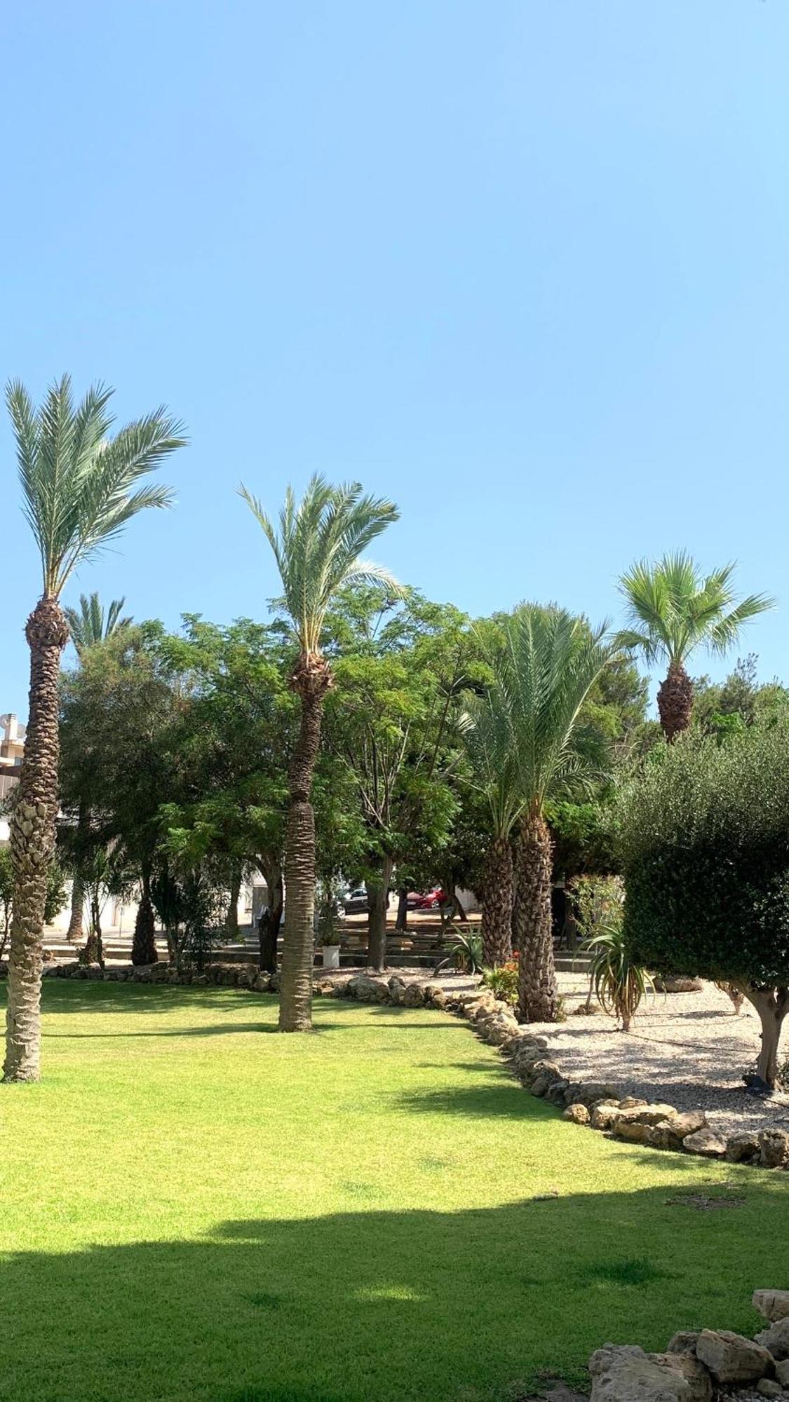 Lagovista45 Torrevieja Ngoại thất bức ảnh