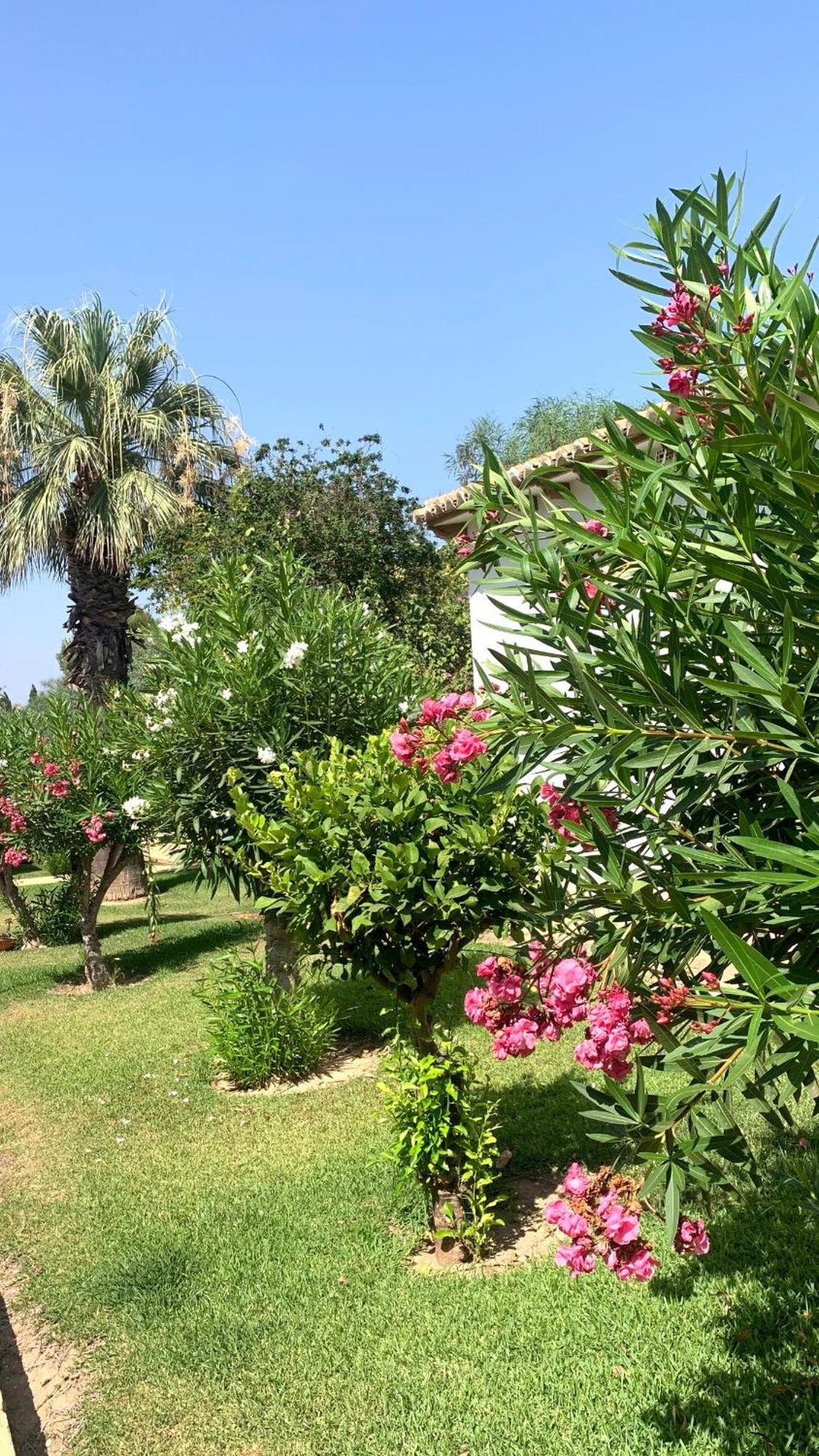 Lagovista45 Torrevieja Ngoại thất bức ảnh