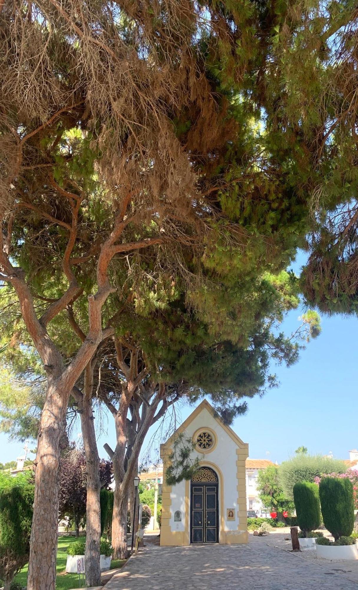 Lagovista45 Torrevieja Ngoại thất bức ảnh