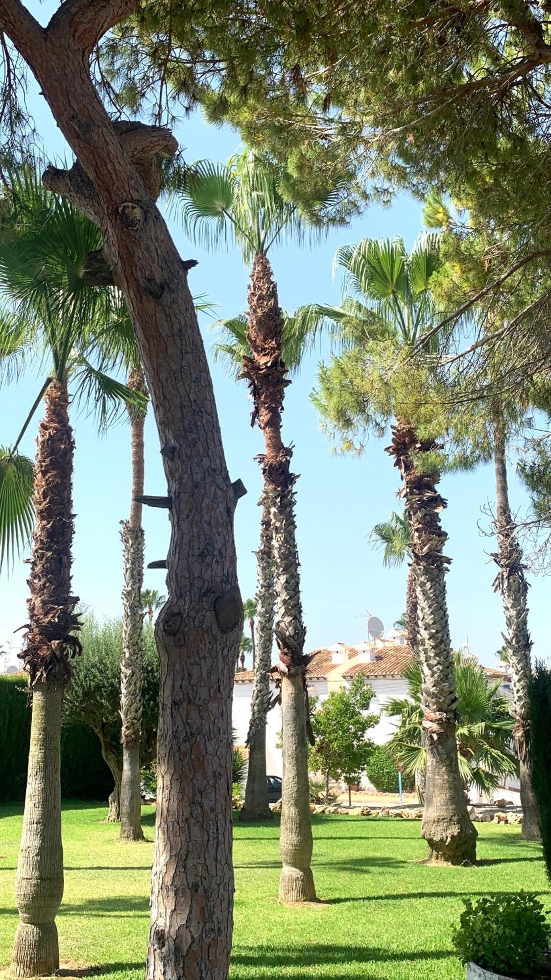 Lagovista45 Torrevieja Ngoại thất bức ảnh